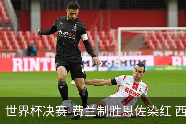 世界杯决赛-费兰制胜恩佐染红 西班牙加时1-0阿根廷夺冠