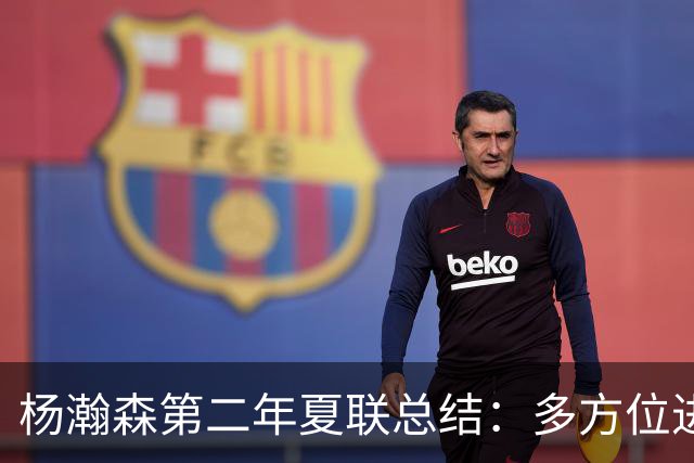 杨瀚森第二年夏联总结：多方位进步 转化有待观察