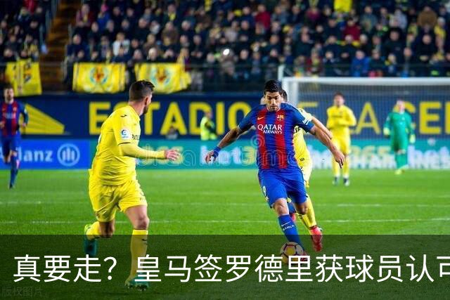 真要走？皇马签罗德里获球员认可 曼城是否放人取决于一先决条件