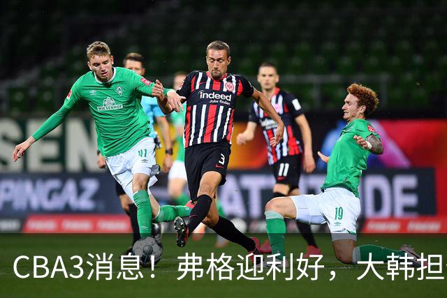 CBA3消息！弗格迎利好，大韩担任辽篮副总，张镇麟喜获2400万合同