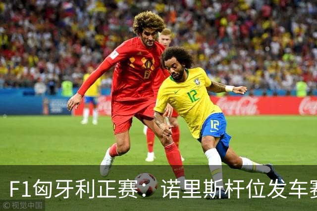 F1匈牙利正赛：诺里斯杆位发车赛季正赛首冠，皮亚斯特里退赛